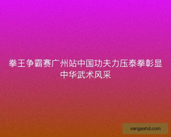 拳王争霸赛广州站中国功夫力压泰拳彰显中华武术风采