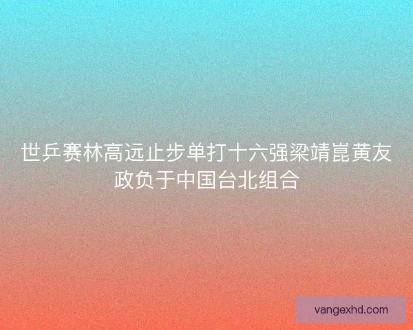 世乒赛林高远止步单打十六强梁靖崑黄友政负于中国台北组合