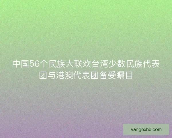 中国56个民族大联欢台湾少数民族代表团与港澳代表团备受瞩目 中国56个民族大联欢台湾少数民族代表团与港澳代表团备受瞩目