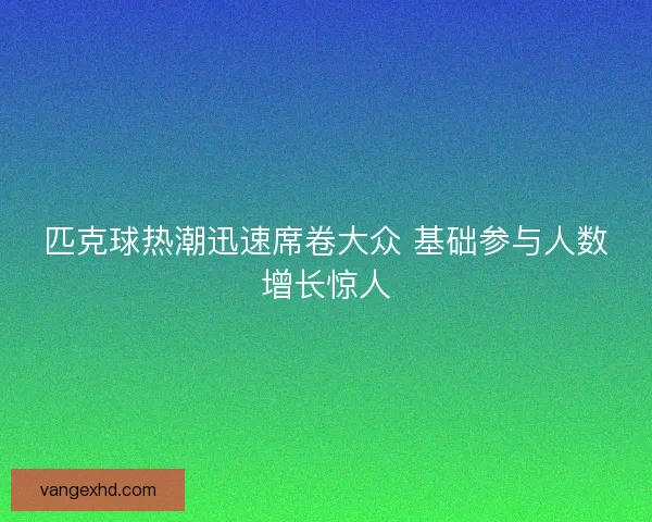 匹克球热潮迅速席卷大众 基础参与人数增长惊人 匹克球热潮迅速席卷大众 基础参与人数增长惊人